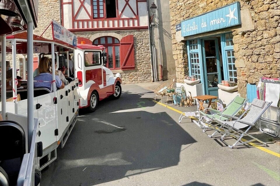 Visite originale en petit train touristique 1