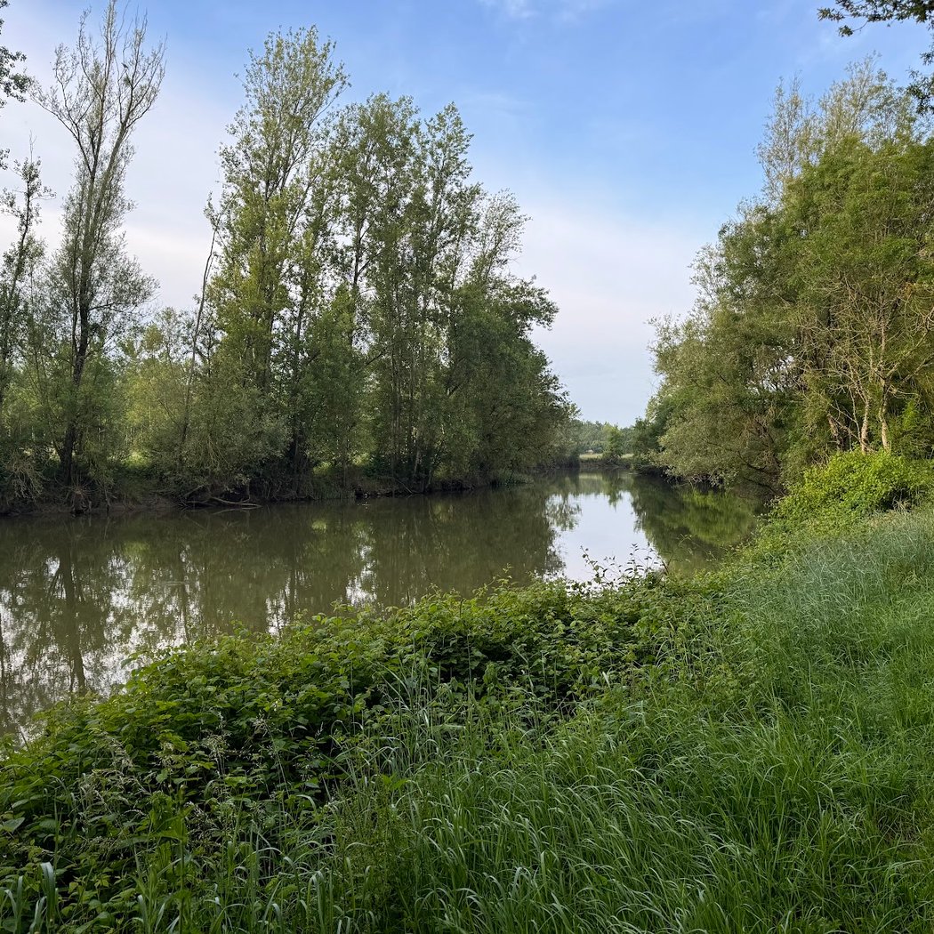 Bardeaux de l’Indre 2