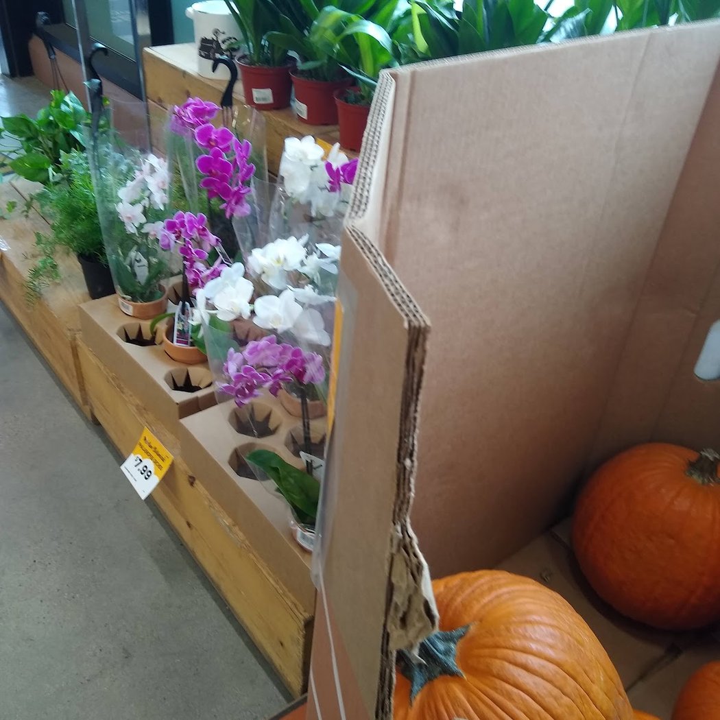 Grocery Outlet 3