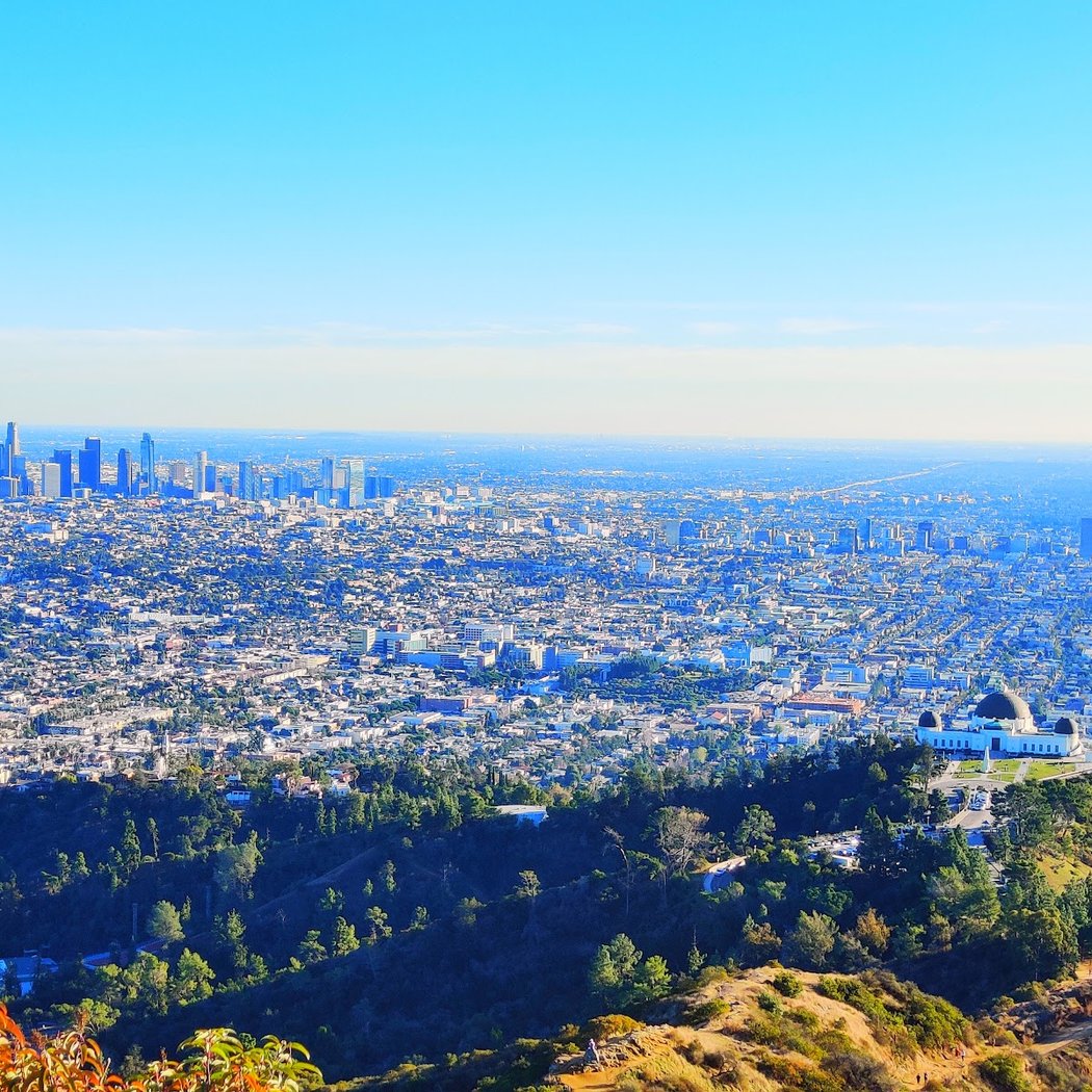Mount Hollywood Trail 2
