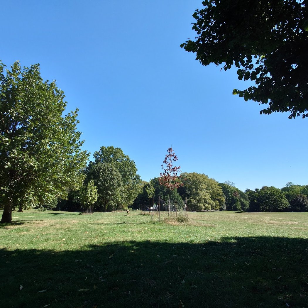 Drummer's Grove 3