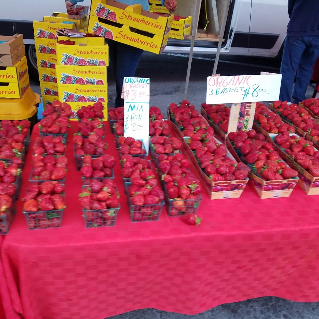 Master Gardener Education Table 5