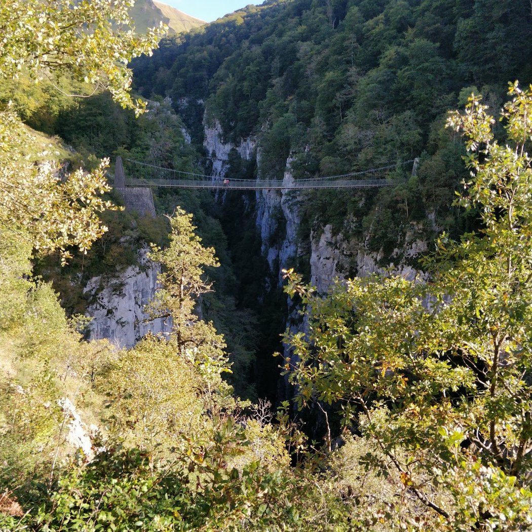 Holtzarte Zubia 4