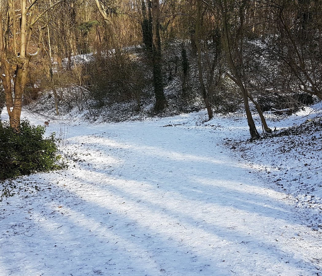 Parc Henri Barbusse 3