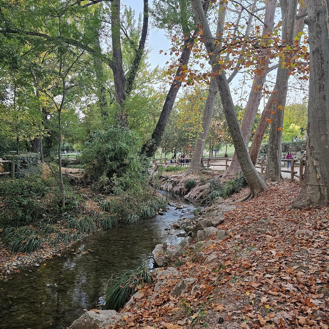 Parc de la Torse à Aix 3