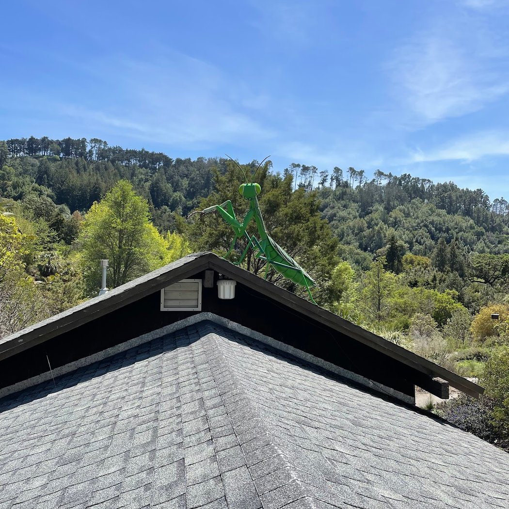 Forest Stearns Open House 2