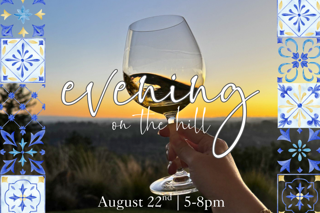 Evening On The Hill 1