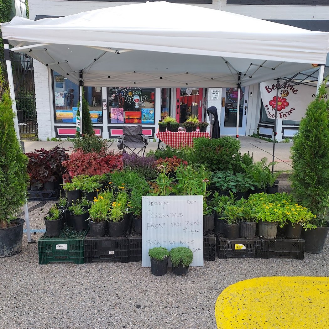Ypsilanti Farmers Market Depot Town 2