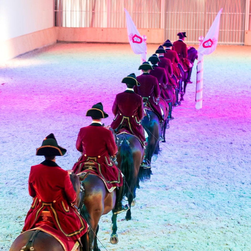 Manhãs da Arte Equestre 1