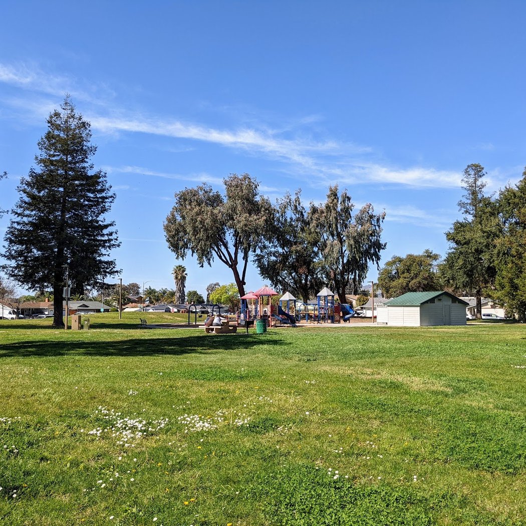 Boggini Park 3