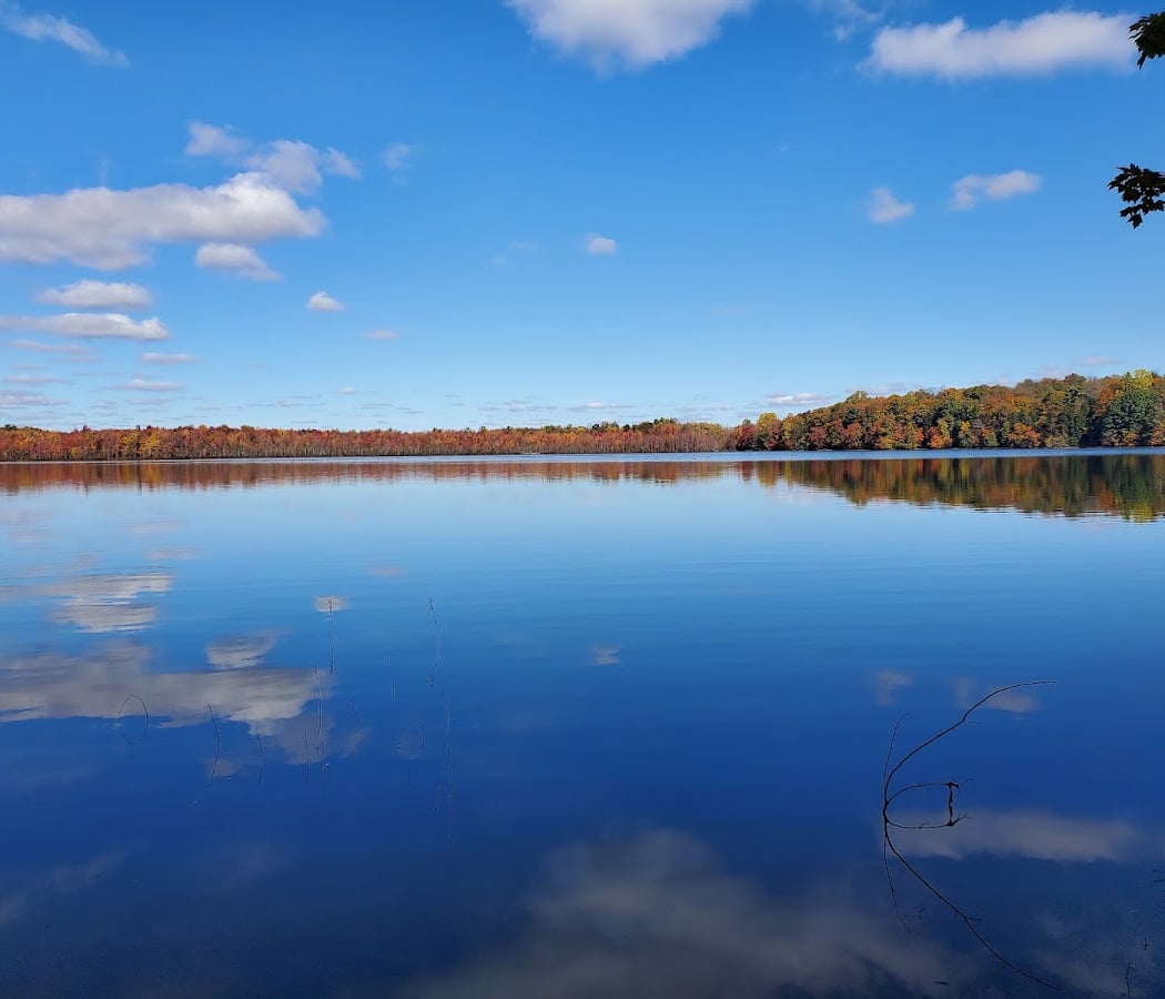 Beaver Lake Nature Center 1