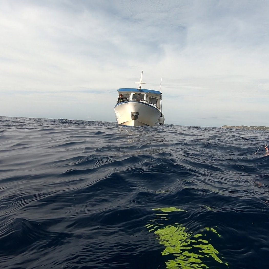 Site de Plongée de l'Épave du Donator 3