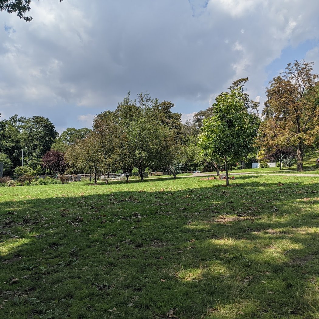 The Overlook: Queens Department of Parks & Recreation 2