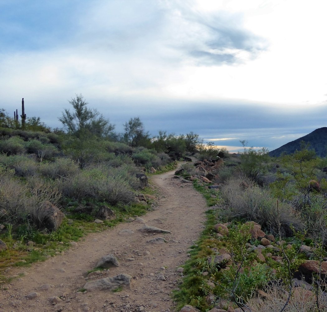 Hike Right PHX 3