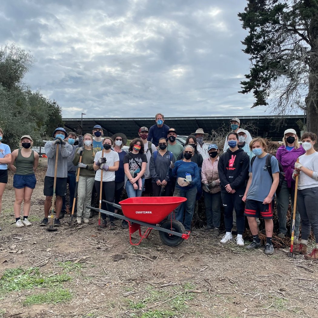 Cavern Point Restoration Project 2