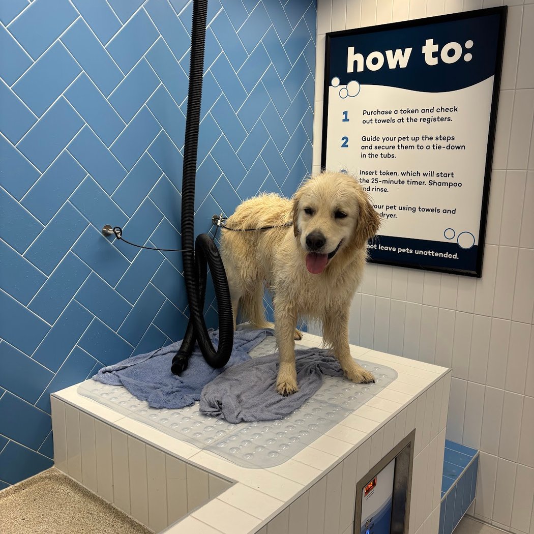 Pet Food Express 1