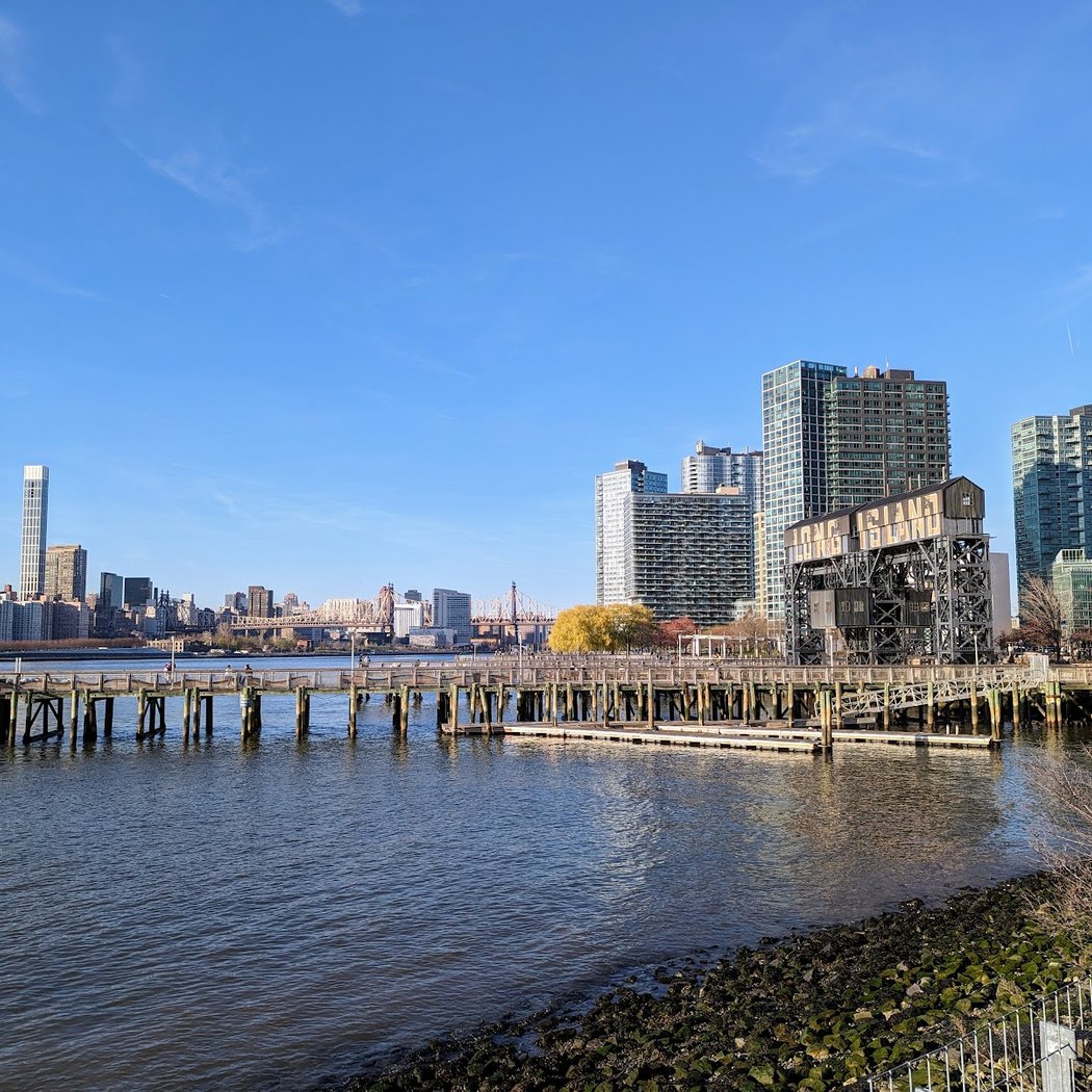 Hunter's Point South Dog Run 2