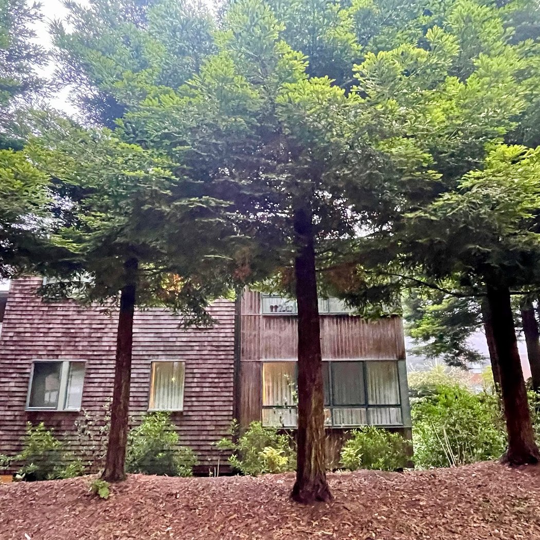 Mt. Sutro Geology & Paleo Tour 2