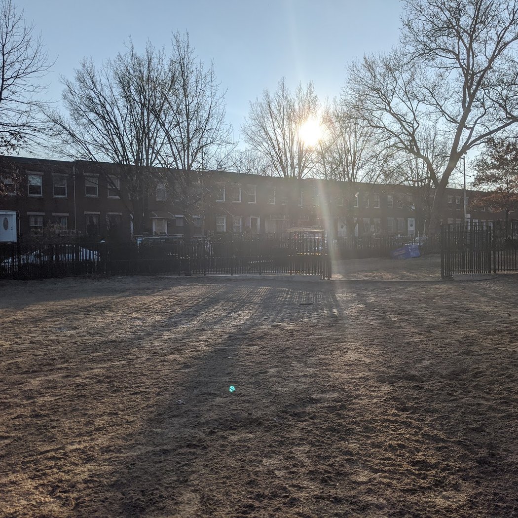 Cooper Park Dog Run 2