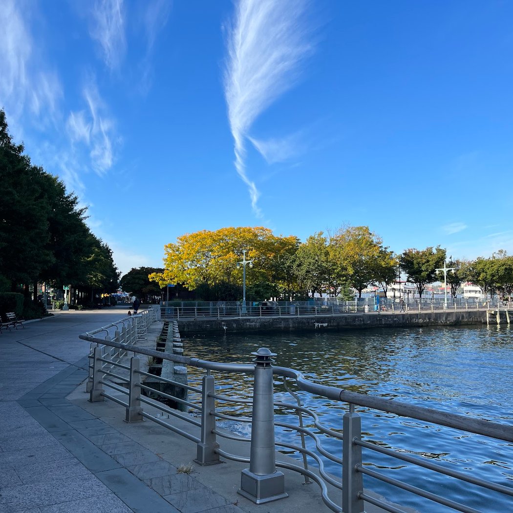 Pier 84 at Hudson River Park 3