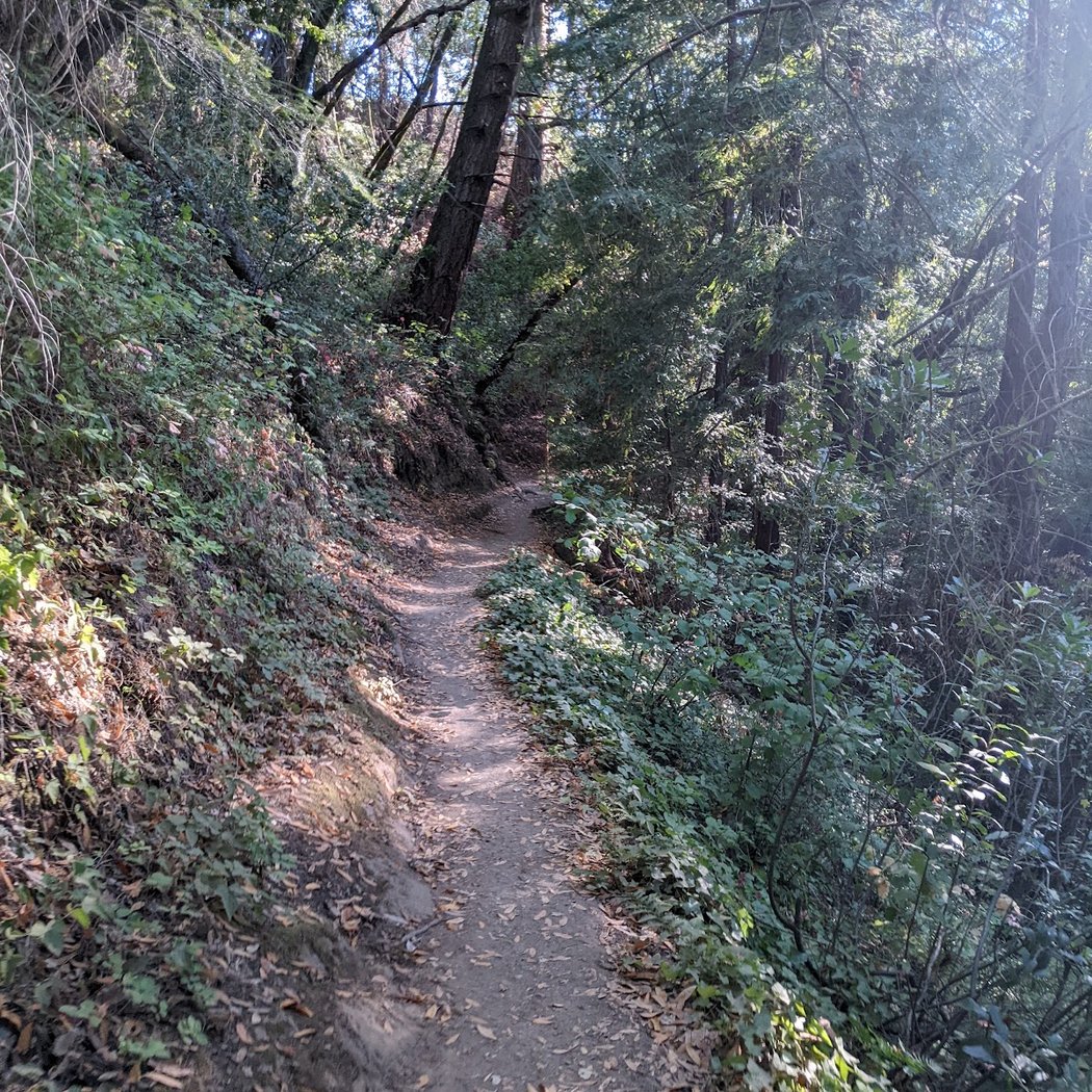 Lodato Park 3