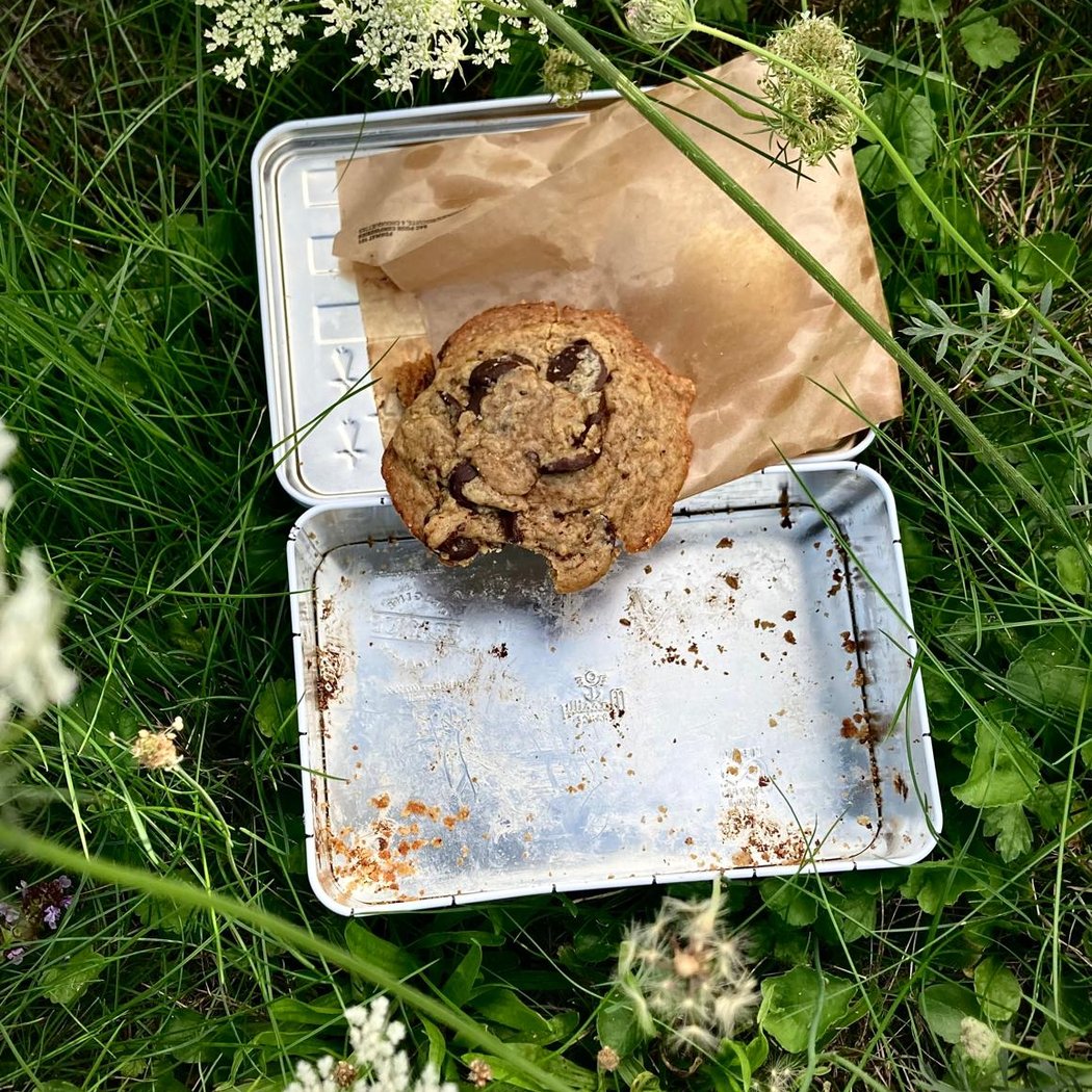 Doughies Cookie 3