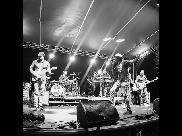 LDNL Live at Harry Buffalo Westerville 2