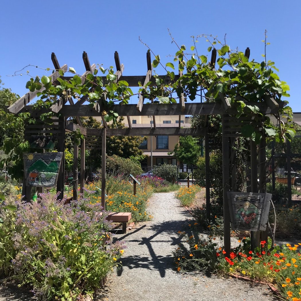 Charles Street Gardens 1