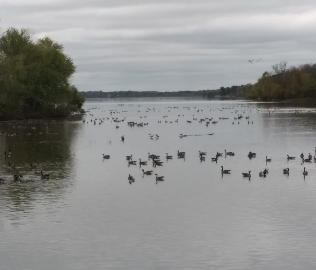 Peace Valley Nature Center 2