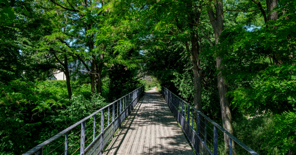Bois de Bondy 1