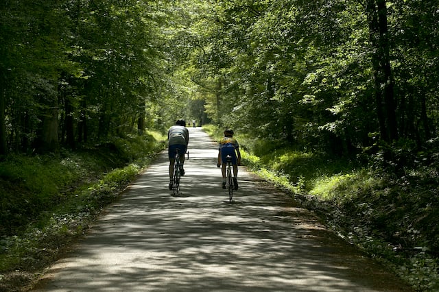 Forêt domaniale de Sénart 4