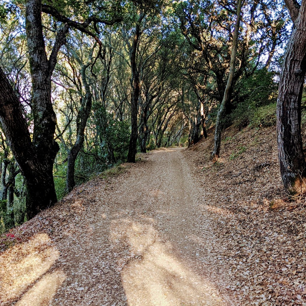 El Sereno Open Space Preserve 1