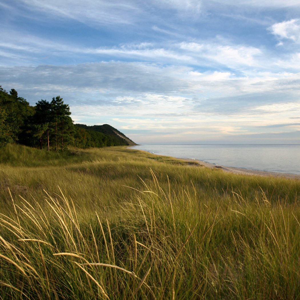 Maple Bay Natural Area 1
