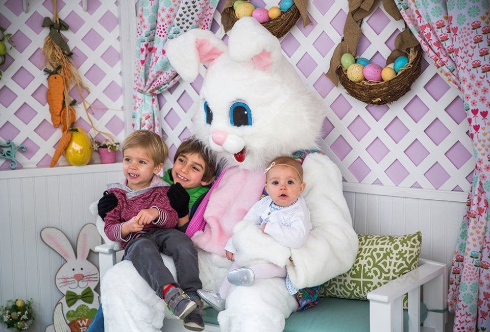 Easter Egg Fun with Bunny Cameo 1