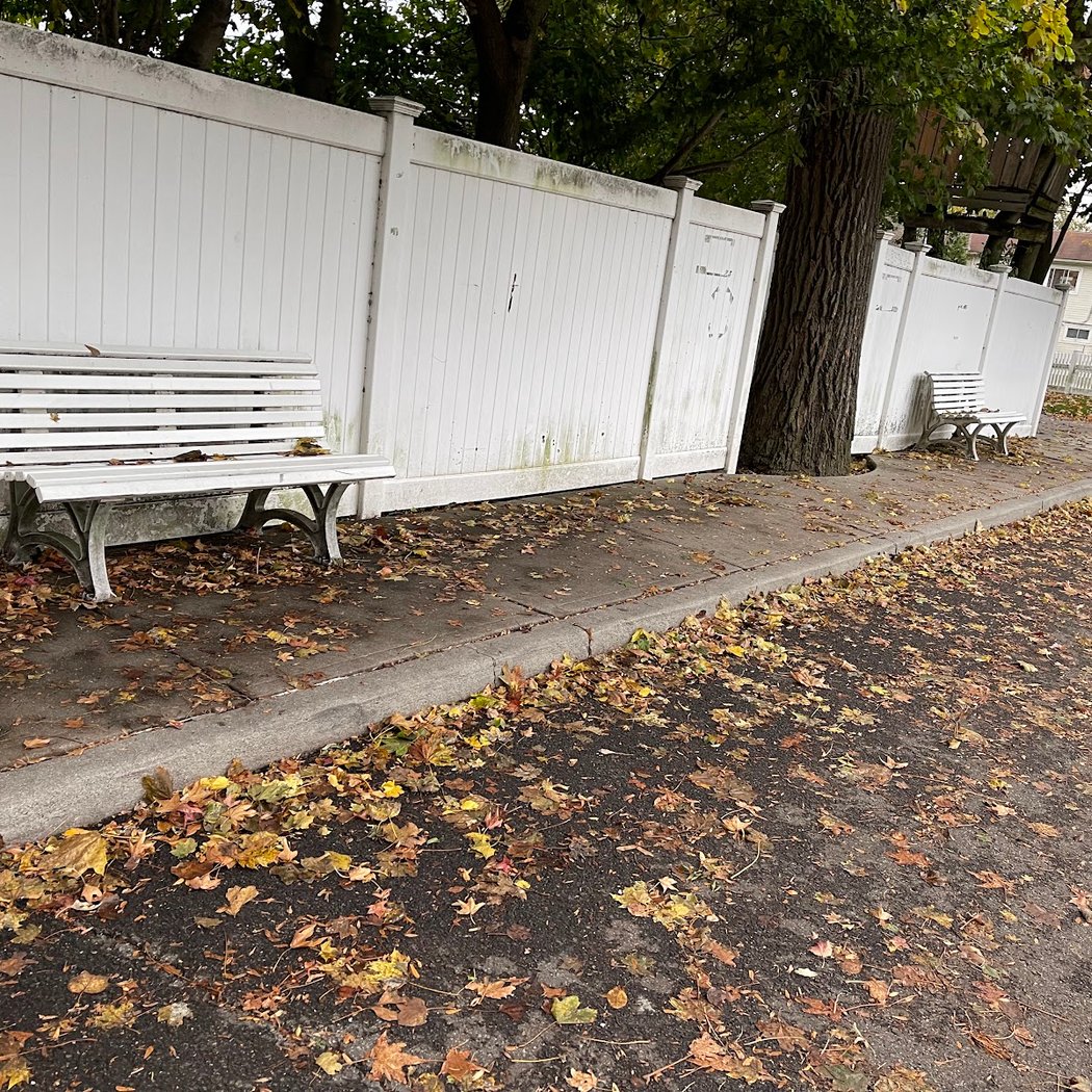 The Bench 3