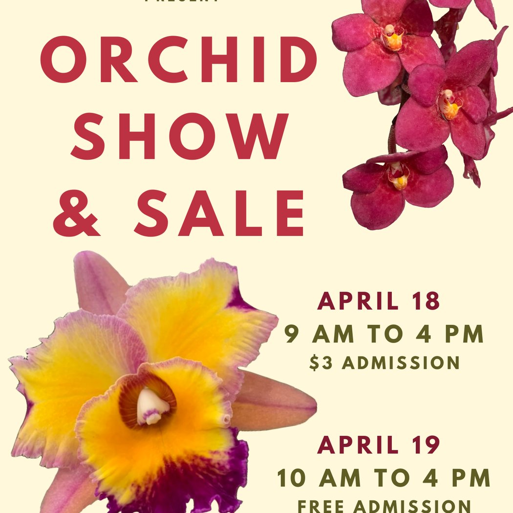 Orchid Show & Sale 1