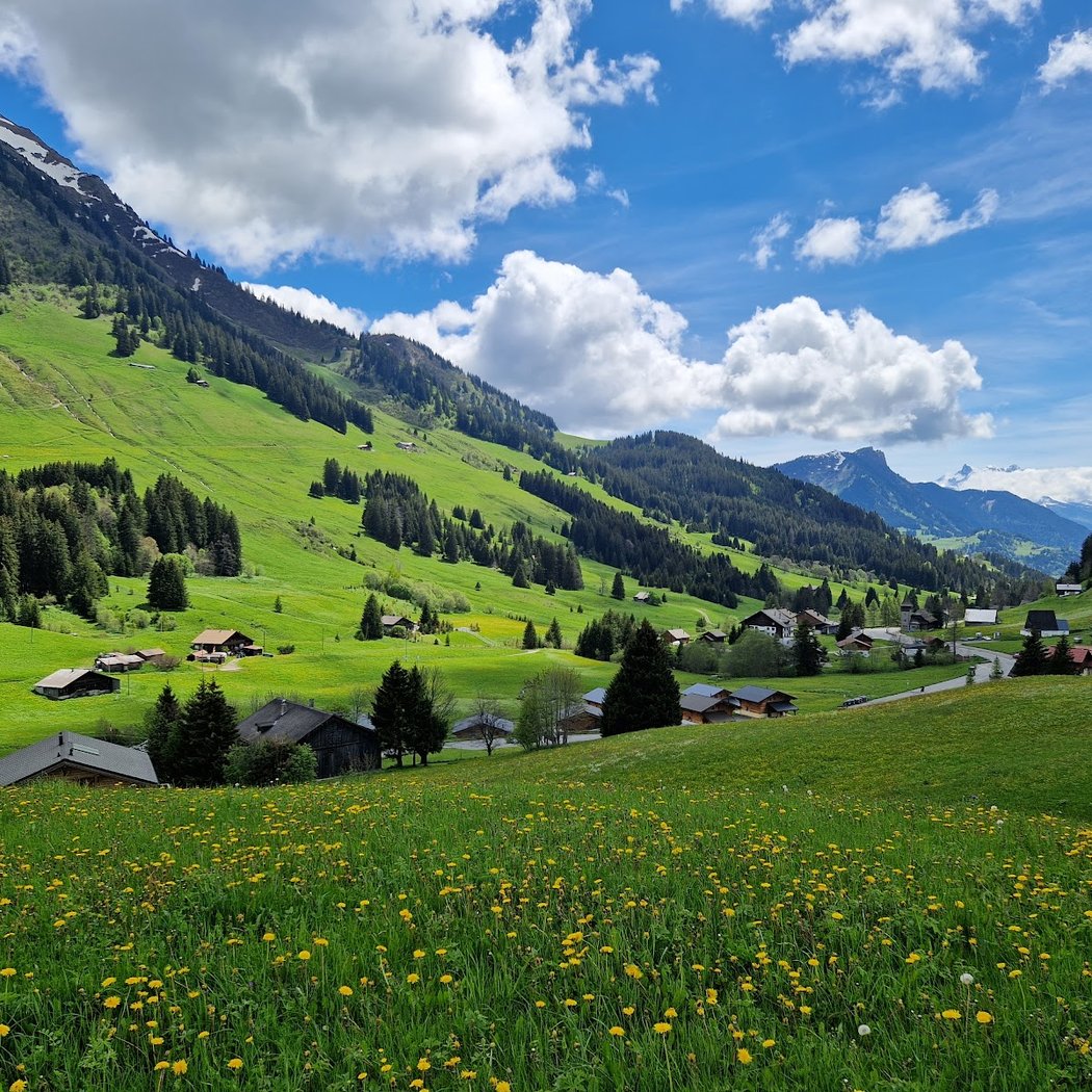 Col des Mosses 2
