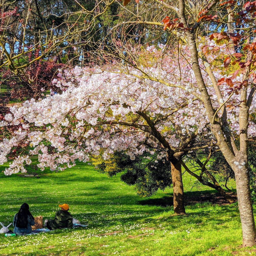 Marx Event Meadow 1