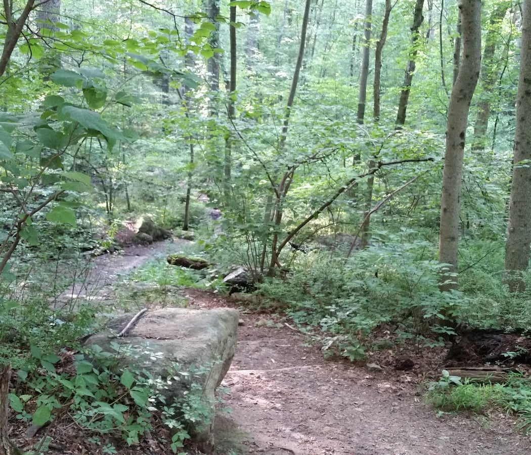 Babcock Preserve 2