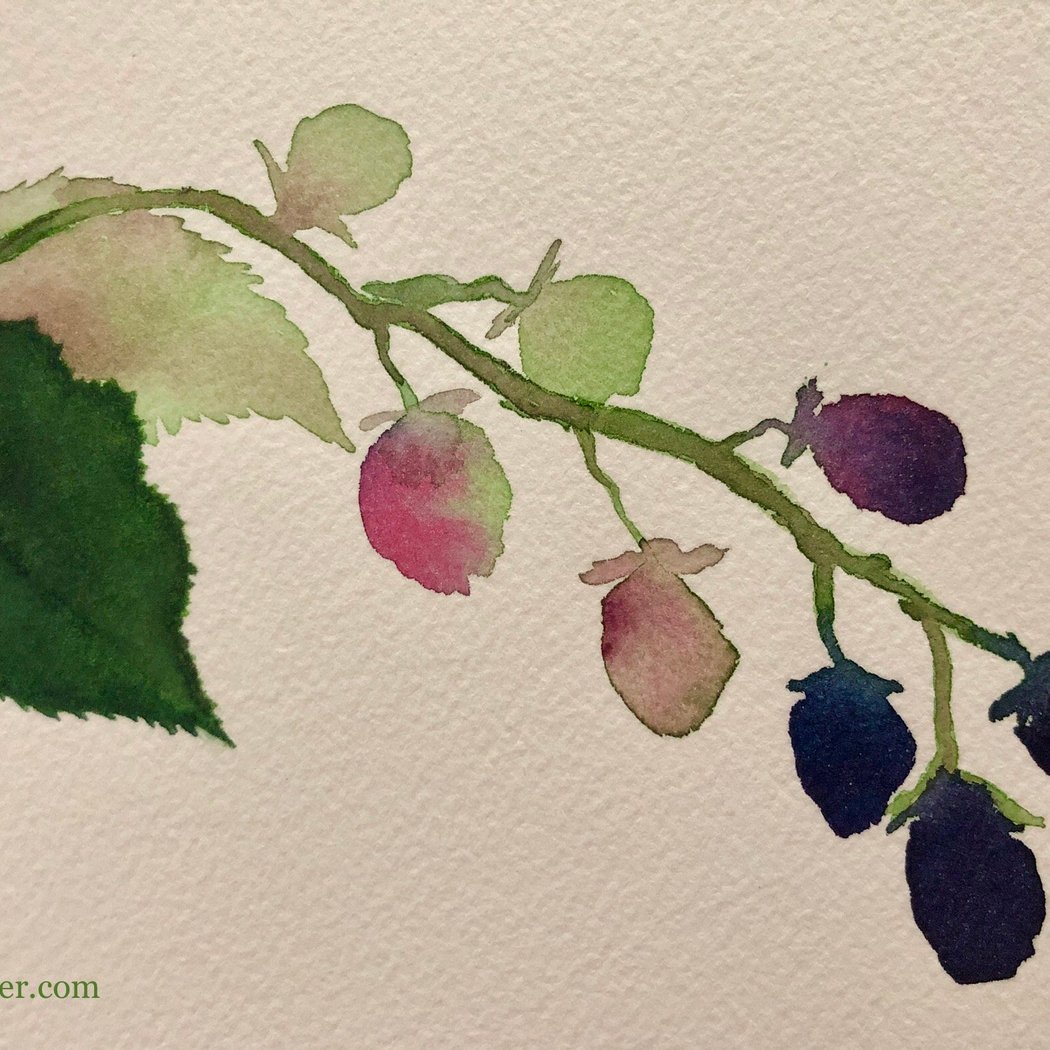 Watercolor Fundamentals Part 2 (Class 4 of 6) 1