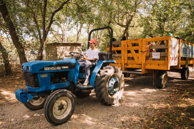 Queens County Farm Hayrides 1