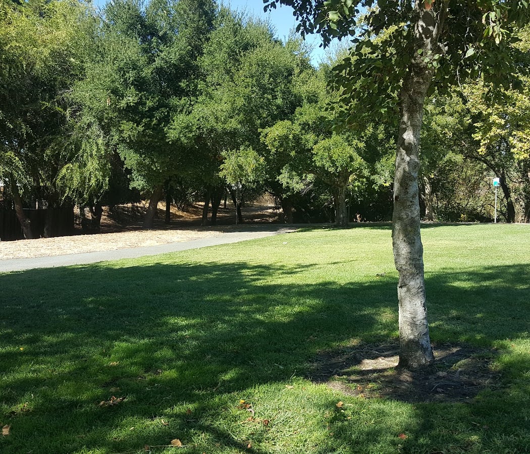 Brazil Quarry Park 3