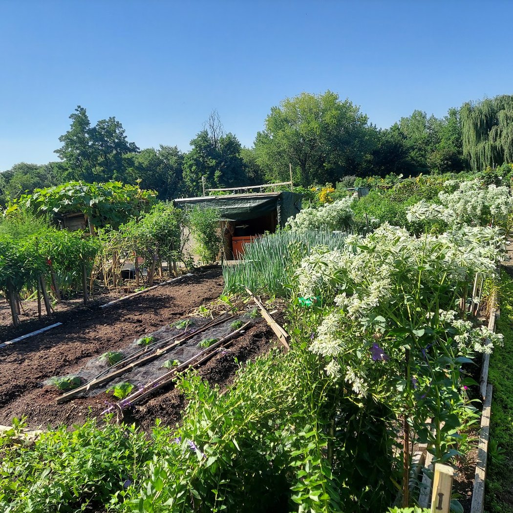 Evergreen Community Garden 2