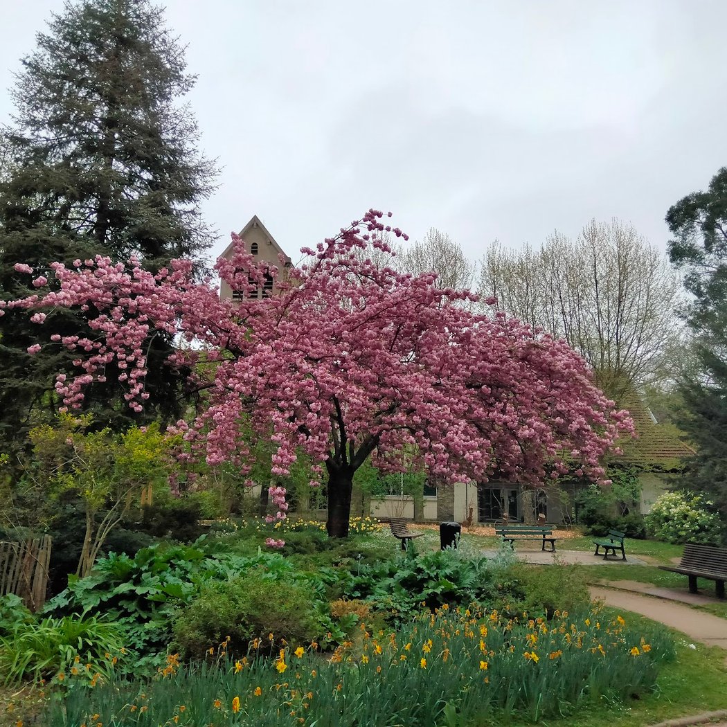 Crowns Park 1