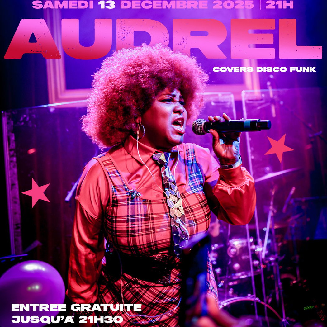 La Nuit Disco du Bizz’Art Live Audrel 1