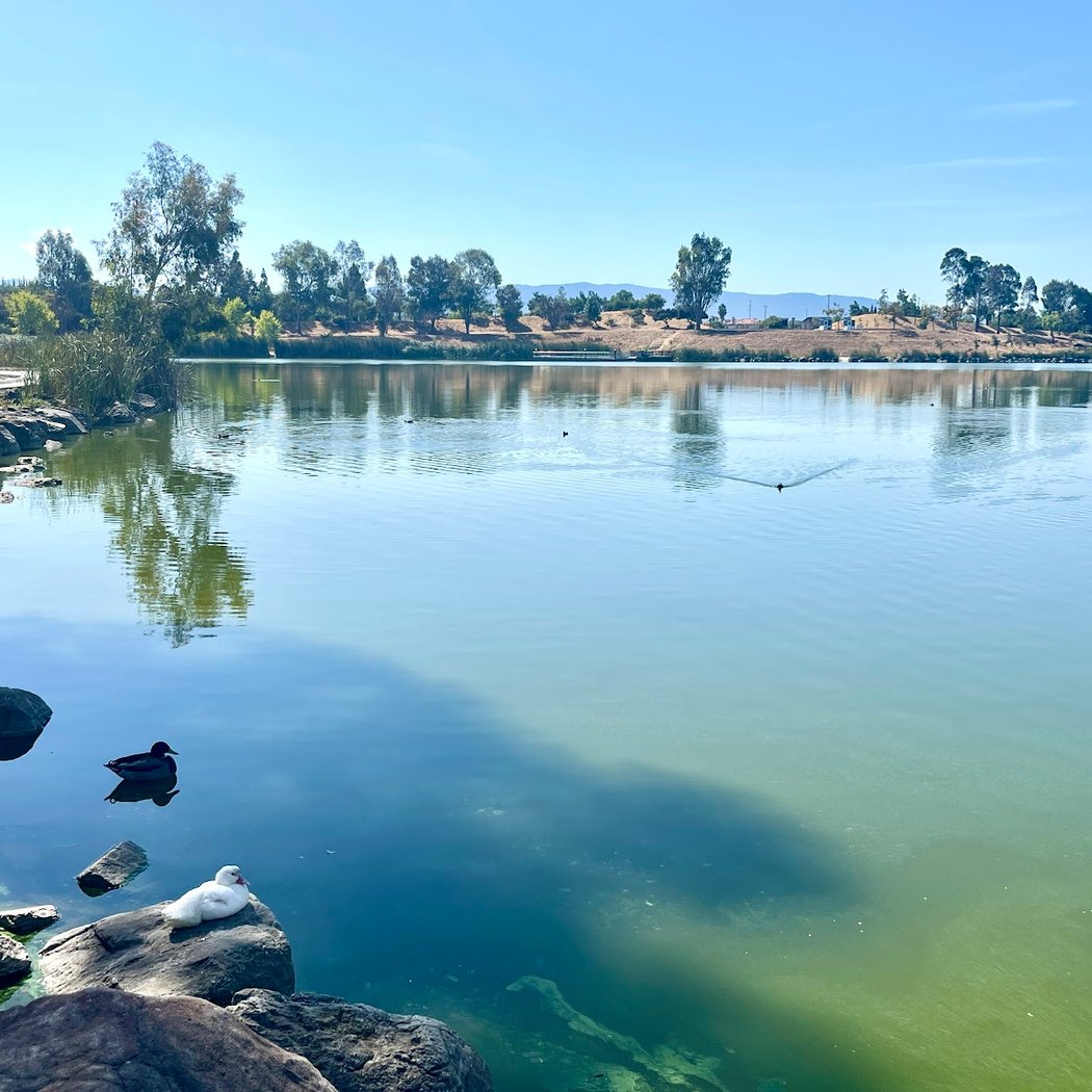 Marina | Lake Cunningham 2