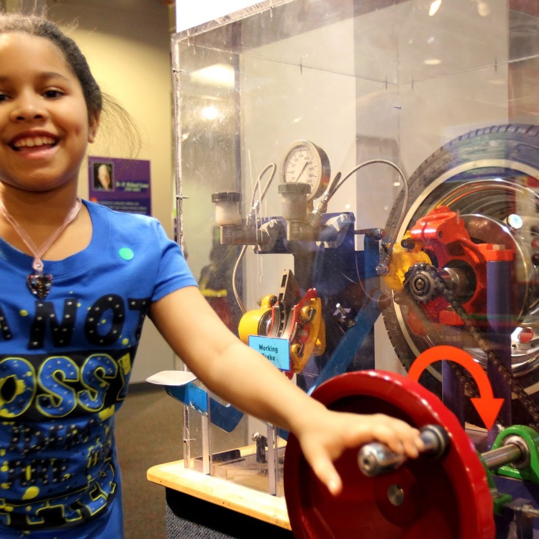 Critters Up Close: Meet an arachnid 2