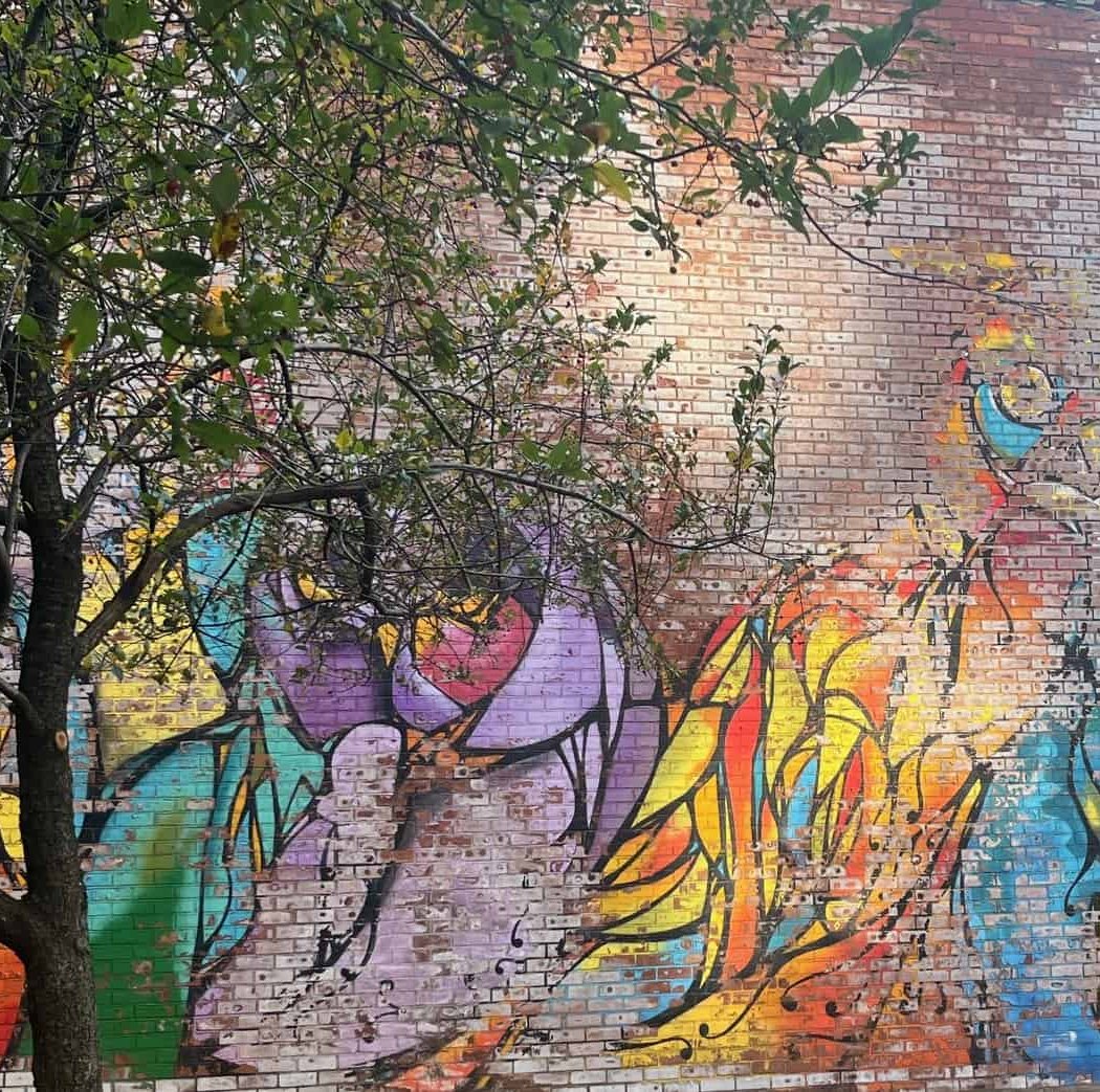DUMBO Walls 2