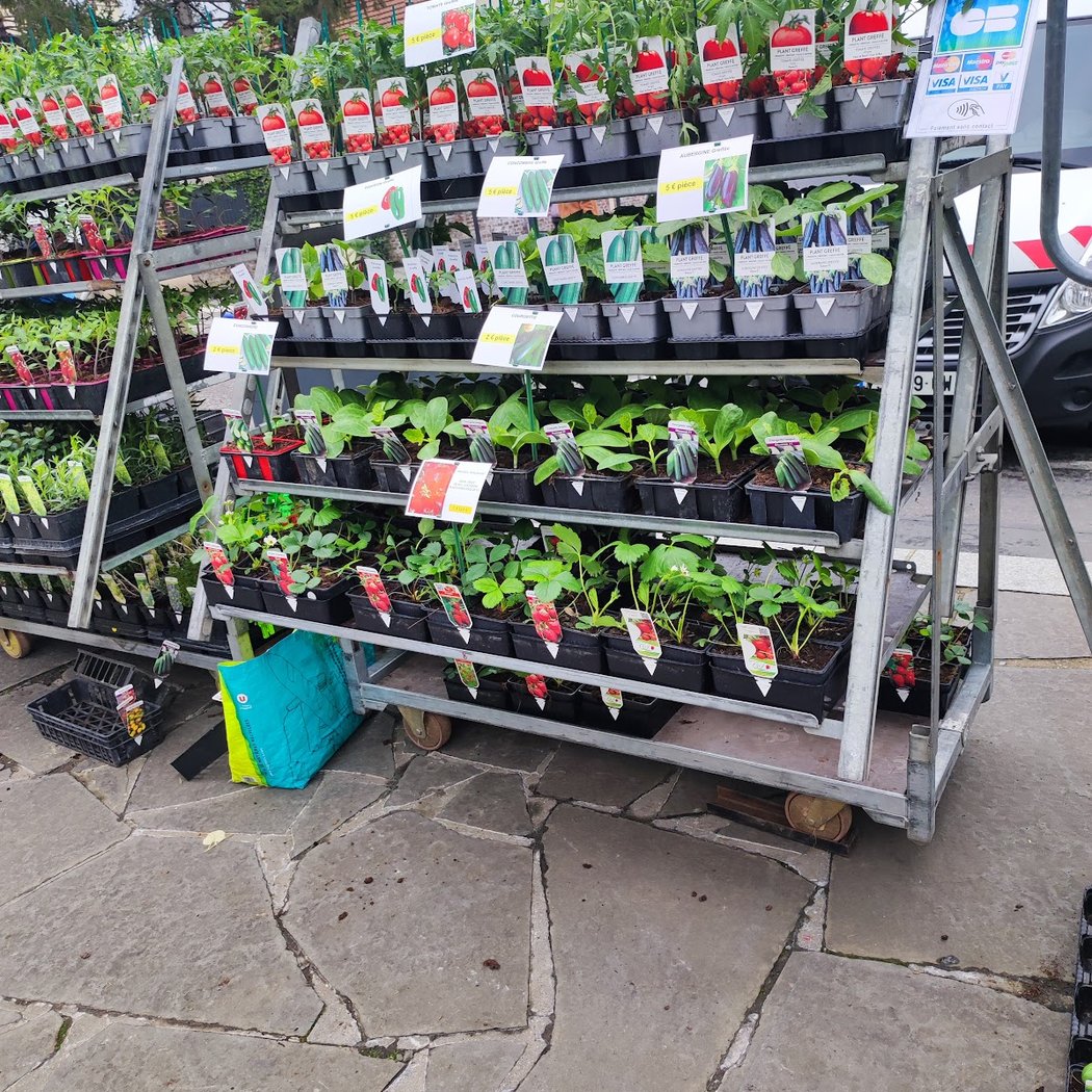 Le marché aux fleurs – Troc et jardin 3