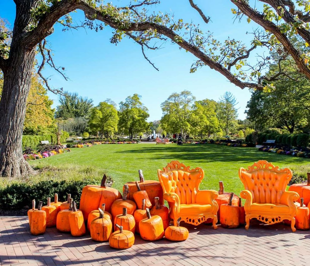 Fall Fest 2